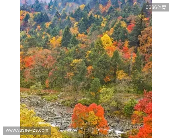 ZywOo、Chovy与f0rsakeN将角逐TGA年度最佳电竞选手称号